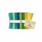 Canvas 2.5" Strip Roll (Jelly Roll) by Deborah Edwards for Northcott (JCANVAS40-10)